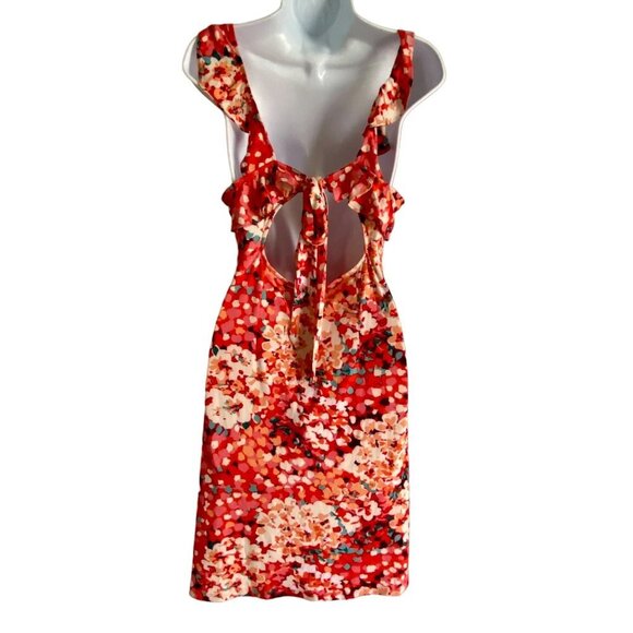 Glamour Floral Dress with Ruffle and Tie in Back Women's Size 8P NEW - Picture 6 of 10